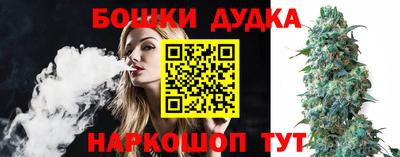 индика Ликино-Дулёво