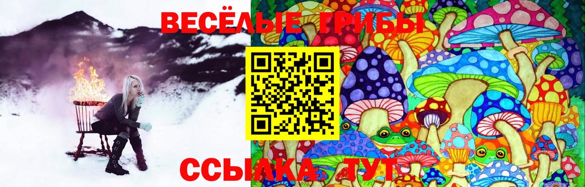 Среднеуральск  Псилоцибиновые грибы Magic Shrooms  Вход с VPN 